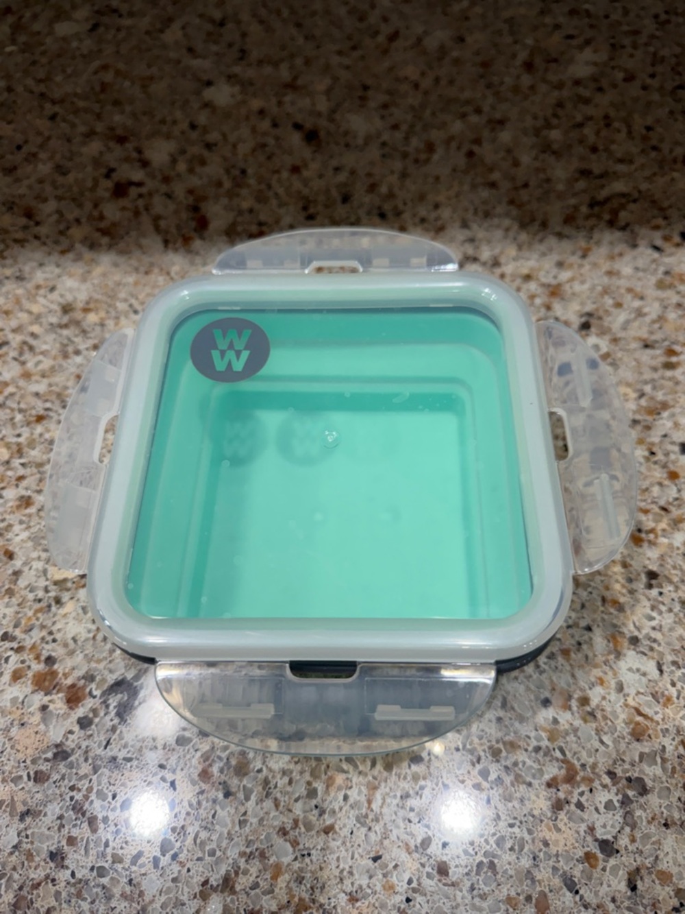 WW Square Food Storage Container in Mint Green